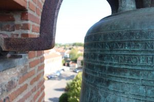 IMG_6398